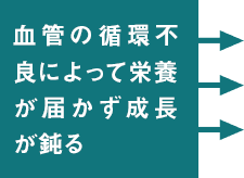 血管の循環不良によって栄養が届かず成長が鈍る