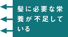 髪に必要な栄養が不足している