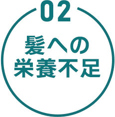 02 髪への栄養不足